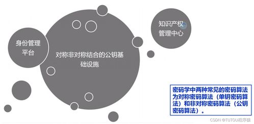 物聯網安全架構、基礎設施與安全軟件開發 構建可信的互聯世界