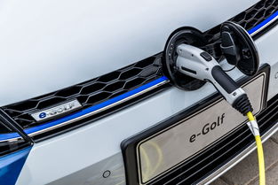 綠樹荷風夏日長 環保愛豆e golf邀你一起 走花路